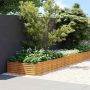 Aukštas sodo lovelis, 1150x100x36cm, Corten plienas