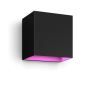 Philips Hue WCA Resonate Outdoor Downward Wall Lantern, Black | 8 W | 2000-6500 Hue White Colour Ambiance