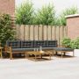 Lauko sofos komplektas su pagalve 6 pcs Natūralus ir antracitas
