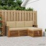 Lauko sofos komplektas su pagalve 4 pcs Natūralus ir bežinis