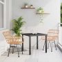 Sodo valgomojo komplektas 3 pcs Ruda