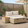 Lauko sofos komplektas 4-Vietų skaičius 4 pcs 55 x 30 x 39 cm