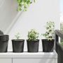 Gėlių vazonas 50 pcs Juoda Ø 15 x 13 cm Plastmasė