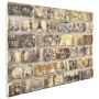 Sienų plokštės 10 pcs Įvairiaspalvis 100 x 50 cm EPS putos