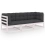 Trivietė sodo sofa su pagalvėlėmis, pušies medienos masyvas