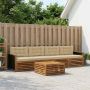 Lauko sofos komplektas su pagalve 5 pcs Natūralus ir bežinis