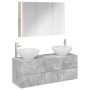 Vonios baldų rinkinys 4 pcs Betono pilka