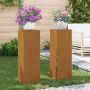 Augalų stovas 2 pcs Rūdijanti 24 x 24 x 75 cm
