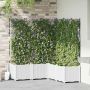 Sodo vazonas 5 pcs Balta 120 x 120 x 143 cm Plienas