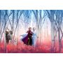 Fototapetai, Sunny decor, SD4102, 368 x 254 cm, Frozen