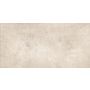 Keraminės sienų plytelės Dover Grey, 30,8 x 60,8 cm