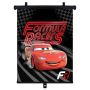 Nuleidžiamoji užuolaidėlė Cars 9307, 1 vnt.