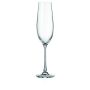 Šampano taurės BOHEMIA ROYAL CRYSTAL VERONA, 260 ml, 6 vnt.