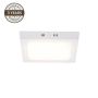 Paviršinė LED panelė Domoletti LedoDLED-44,18W,4000K,baltas