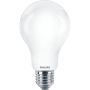 Lemputė Philips LED, A67, E27, 17,5 W, 2500 lm, 2700 K