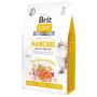 PAŠAR KAT BRITCARE KAILIO PRIEŽIŪR. 2KG