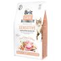 PAŠAR KAT BRITCARE SU JAUTRIU VIRŠK. 2KG