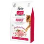 Sausas aktyvių kačių ėdalas BRITCARE, 2 kg