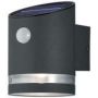 Šviestuvas Reality Salta R22231142, 3W, IP44, antracito