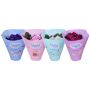 Gėlė vazone sanpaulija Mix, Ø 12 cm, 0.2 - 0.25 m