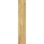 Klinkerinės plytelės Marilla Oro, 60 x 11 cm