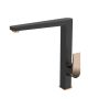  Virtuvinis maišytuvas Invena Midnight BZ-35-014-V, auk/juod
