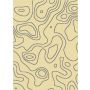 Kilimas Ferrera 5290/EC9-W, 235x160 cm