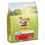 ĖDALAS SAUSAS ŠUN FRISKIES SU JAUT 3KG