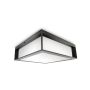 Šviestuvas Philips 14W, E27, IP44, antracito, 26 cm x 8.1 cm