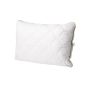 Pagalvė Domoletti Premium ALOE VERA Hypoallergenic 50x70 cm