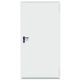 DURYS PLIEN PRIEŠGAISR T30-1 900X2100 RAL 9002