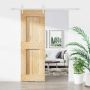 Slankios durys Natūrali ir Balta 70 x 210 cm