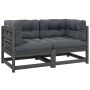 Dvivietė sodo sofa su pagalvėlėmis, pilka, pušies masyvas