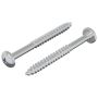 Medinis varžtas 2 pcs Sidabro 9,8 x 53 mm Plienas