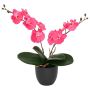 Dirbtinė orchidėjų augalas Raudona 36 x 10 x 30 cm