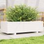 Sodo lovelis, baltas, 90x40x26,5cm, pušies medienos masyvas