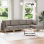 Svetainės baldų komplektas su pagalve 5 pcs Taupe Audinys