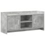 Televizoriaus spintelė 102 x 33 x 47 cm Betono pilka