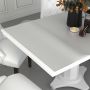 Stalo apsauga, matinė, 120x60cm, 1,6mm, PVC