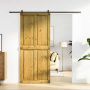 Tvarto durys Corona Medaus Ruda 90 x 210 cm