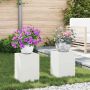 Augalų stovas 2 pcs Balta 24 x 24 x 35 cm Plienas