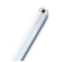 Liuminescencinė lempa Osram T8, 36W, G13, 3000K, 3250lm