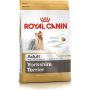 ĖDALAS ŠUNIMS „ROYAL CANIN Yorkshire Terrier Adult“ 500 G