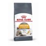 Sausas ėdalas katėms Royal Canin Hair & Skin, 400 gr