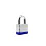 Pakabinama spyna Blossom SL040 12/96, 40 x 63 mm