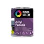 Fasadų dažai Pentacolor Acryl Fasad, C bazė, 1 l