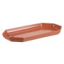 Plastikinė kaktusinės lėkštė Uniplastex, 23 x 11 cm