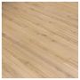 Laminatas padidinto atsparumo drėgmei Robusto D3073
