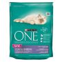 ĖDALAS KATĖMS „ONE ADULT“ 800 G