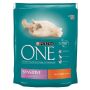 ĖDALAS KATĖMS „ONE ADULT“ 800 G